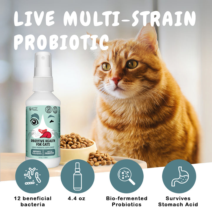 scd digestive health for cats