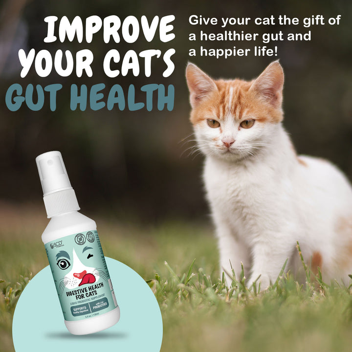 scd digestive health for cats