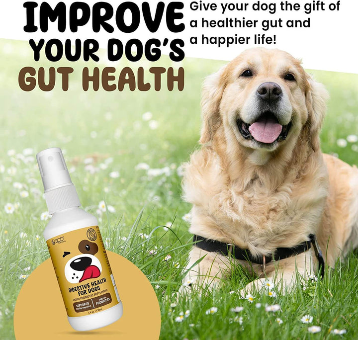 improve your dog's gut health