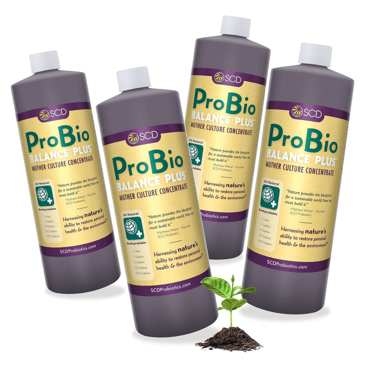ProBio Balance Plus 4 pack