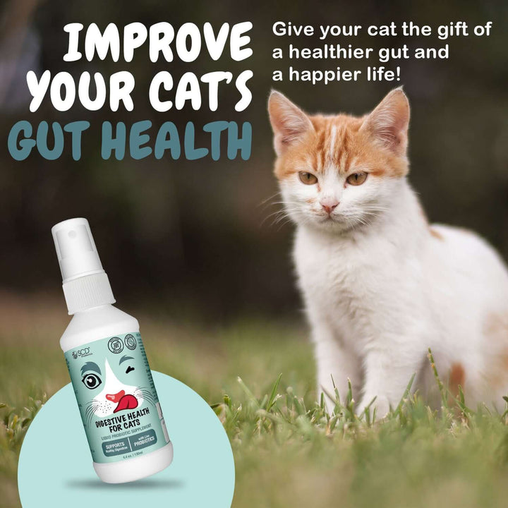 scd digestive health for cats