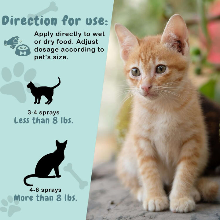 scd digestive health for cats