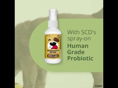 SCD Digestive Health video