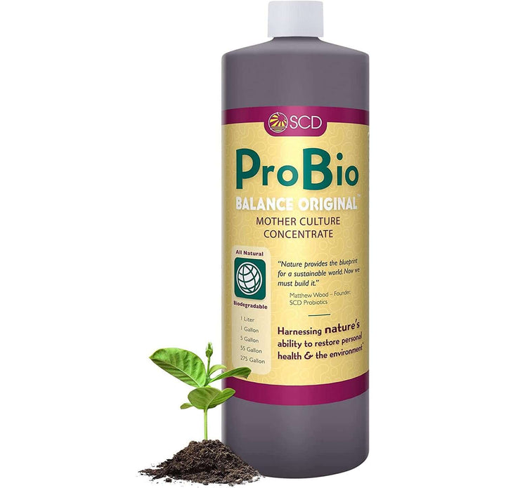 probio balance original