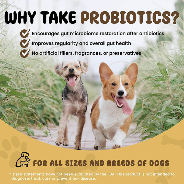 SCD Digestive Health for Dogs