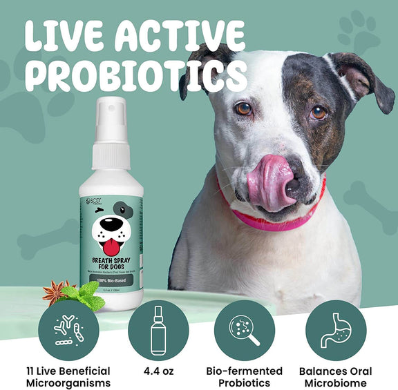 SCD Probiotics Breath Spray for Dogs with Live Probiotics