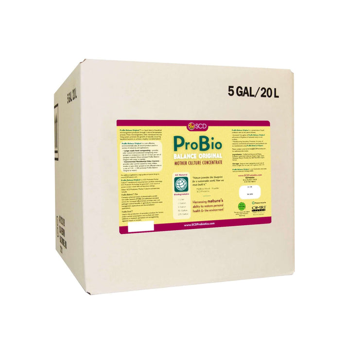 probio balance original