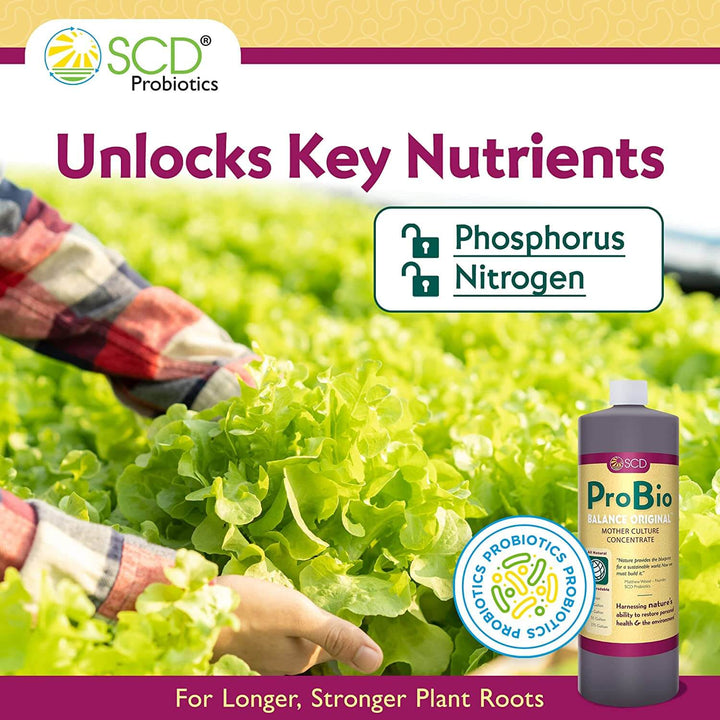 unlocks key nutrients