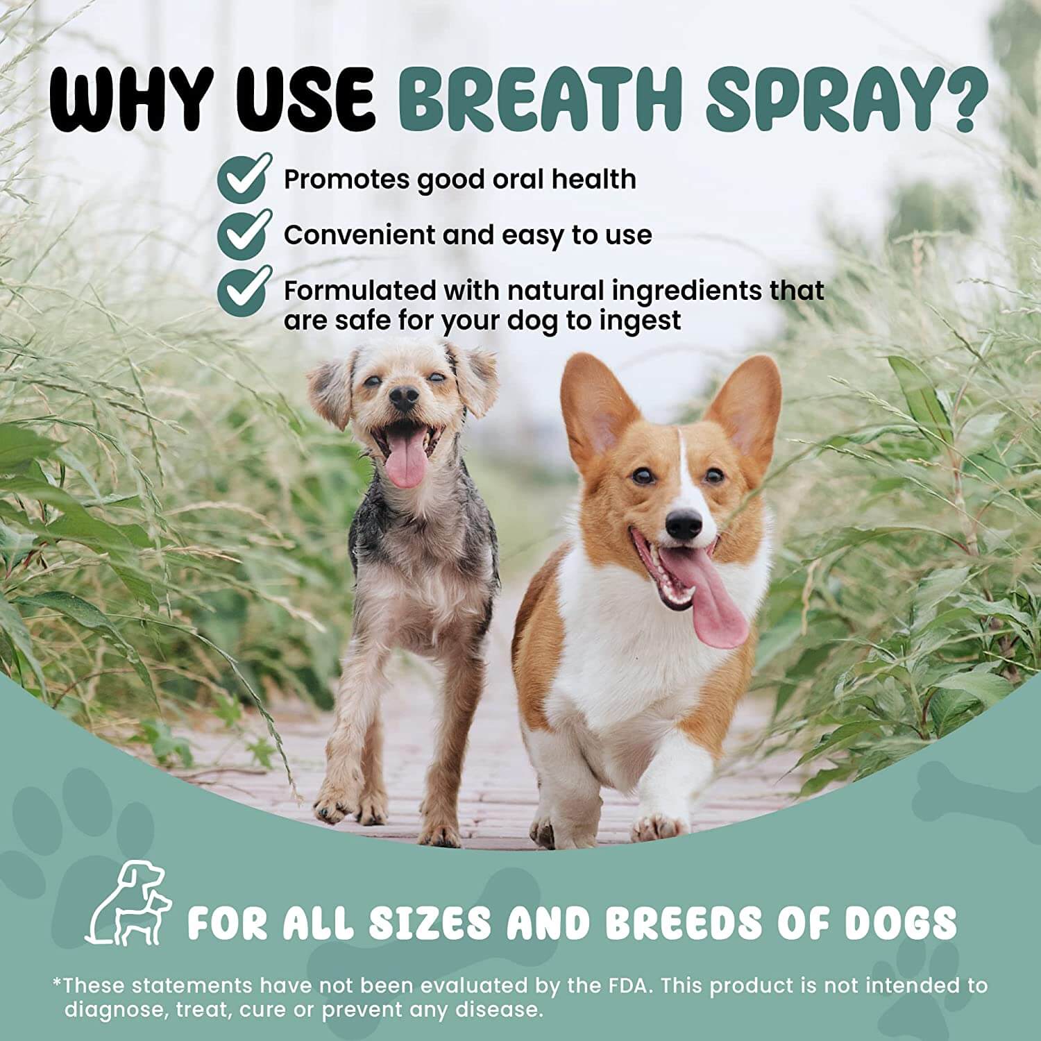 SCD Probiotics Breath Spray for Dogs with Live Probiotics